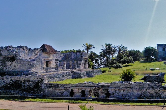 Luxury Tour in Tulum, Coba, Cenote and Playa del Carmen - Price and value: what $60 gets you on a packed day