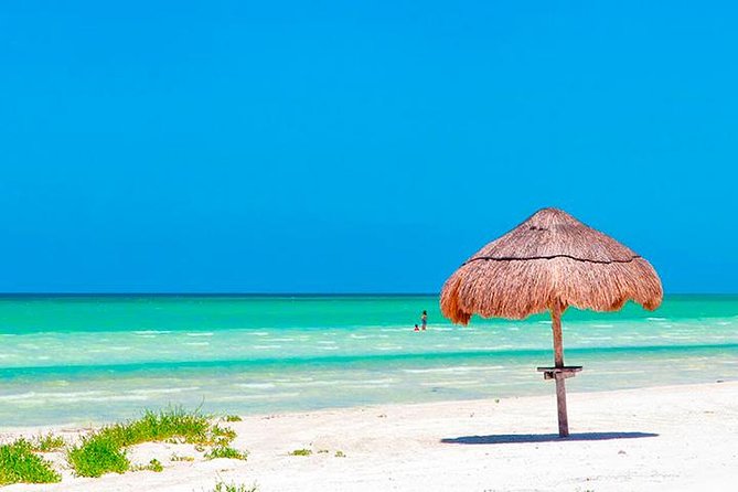 Magic Island Holbox! Experience From Cancun & Playa del Carmen - Stop 3: Isla Holbox free time (3 hours)—how to use it well
