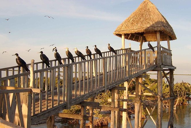 Magic Island Holbox! Experience From Cancun & Playa del Carmen - Weather and boat reality check (what to pack for a wet day)