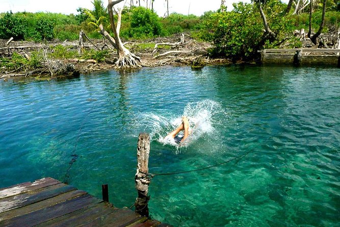 Magic Island Holbox! Experience From Cancun & Playa del Carmen - Getting back safely: pickup zones, drop-off access, and your best questions