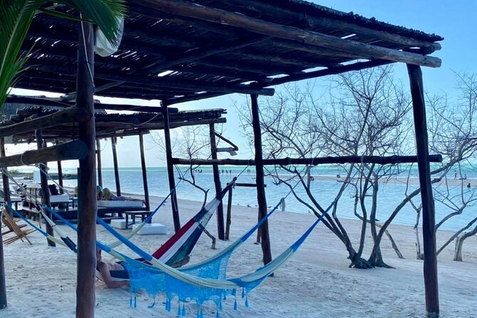 Magic Island Holbox! Experience From Cancun & Playa del Carmen - Stop 1: Cenote Yalahau swim—cool water, simple rules