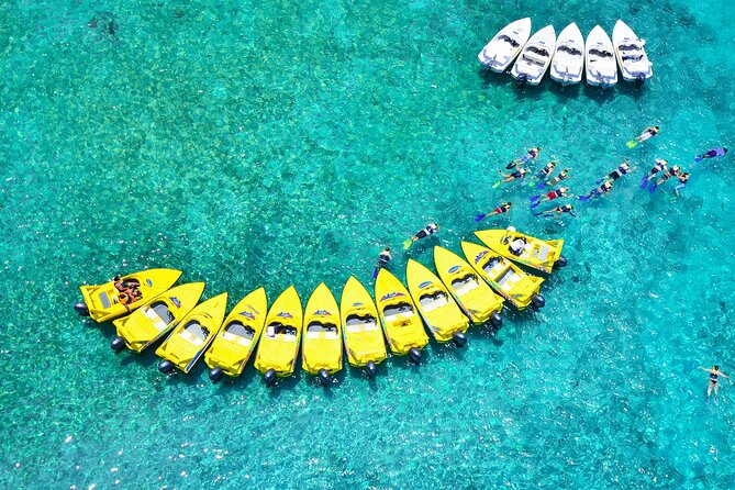 Mangrove Jungle Speedboat Experience - Museo Subacuatico de Arte: why this stop feels smart, not random