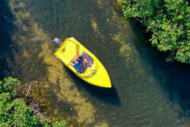 Mangrove Jungle Speedboat Experience - What’s included (and what you should plan to pay separately)