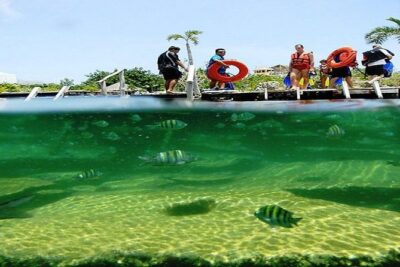 Mayan Adventure from Cancun - Jungle River Swim With Caves, Stalactites, and Stalagmites
