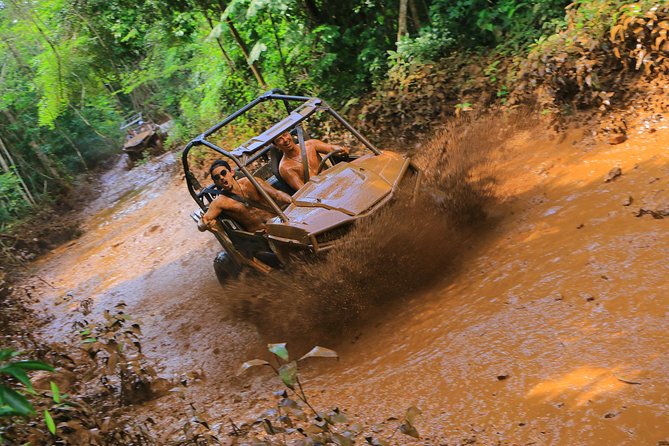 Mud Madness at Selvatica - Cenotes at Selvatica: private sinkholes, cool water, and practical caveats