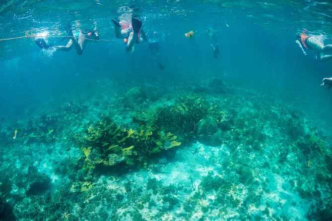 Mujeres Island Tour by Catamaran from Cancun City - Stop 2: Centro de Isla Mujeres for lunch, shopping, and beach time