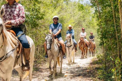 Nature Tour - From pickup to the saddle: horseback riding through jungle trails