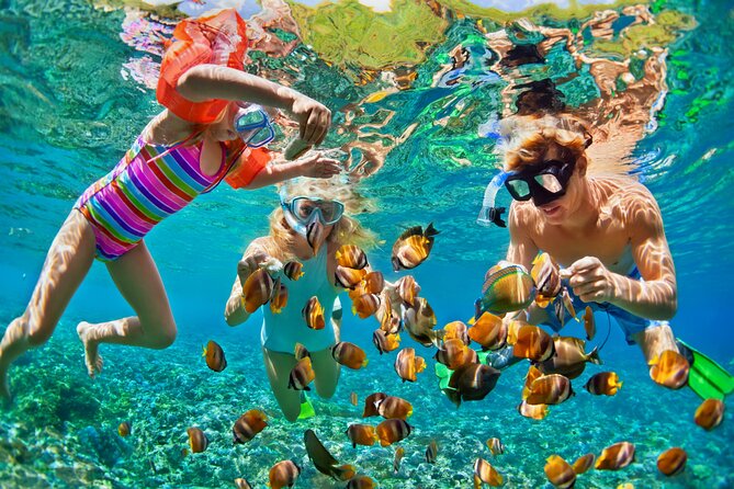 Nizuc Reef Snorkel Experience - Punta Nizuc plus the Underwater Museum: the smart combo