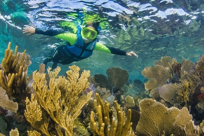 Nizuc Reef Snorkel Experience - Timing, return boats, and planning for a 3-hour feel