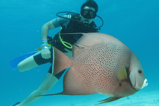 PADI Open Water Diving Certification Course Activity - Key highlights at a glance