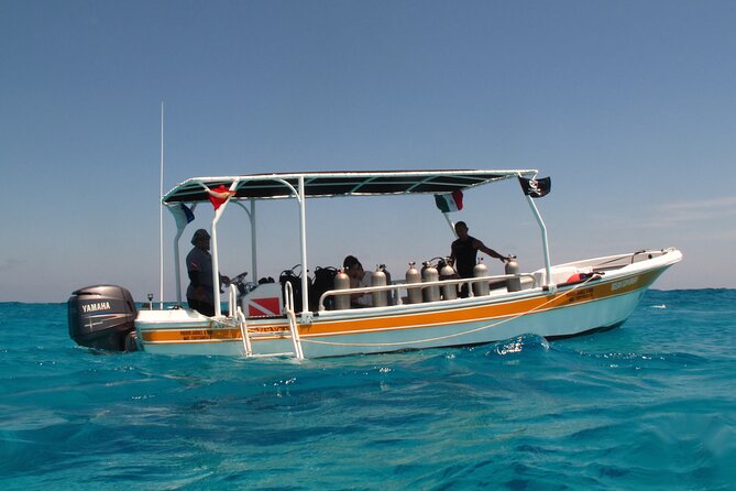 PADI Open Water Diving Certification Course Activity - Stop 1: Museo Subacuatico de Arte (MUSA) and why it’s a smart first target
