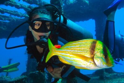 PADI Open Water Diving Certification Course Activity - How the course builds confidence: theory, pool skills, then open water