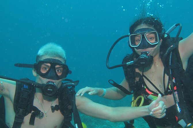 PADI Open Water Diving Certification Course Activity - Isla Mujeres: more variety after MUSA