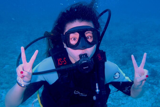 PADI Open Water Diving Certification Course Activity - Price and value: why $559 can be fair (not just cheap)