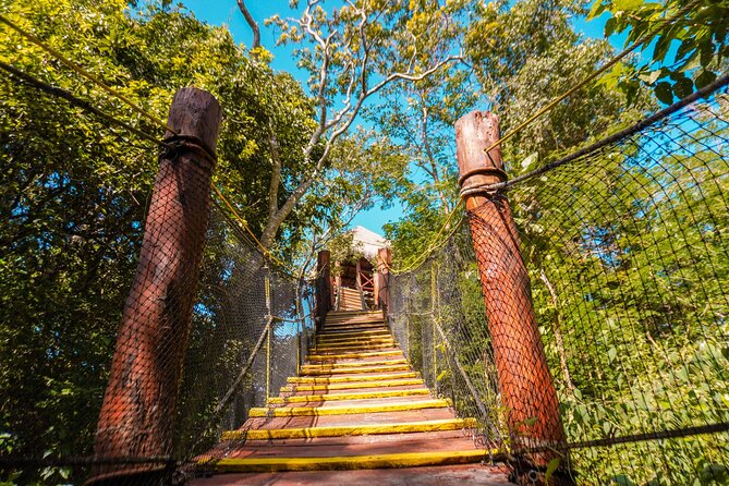 Private Jungle Adventure tour: Zipline + Rappel + Cenote - The Zipline Through the Jungle Canopy: Safety First, Views Always