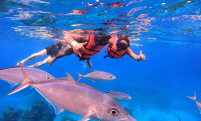 Puerto Morelos: Guided Snorkeling Tour with Gear & Fees - The 2-hour flow: check-in, briefing, two reef stops, back at Javier Rojo Gomez