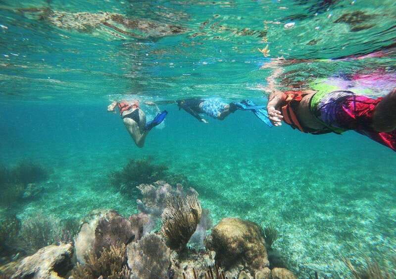 Puerto Morelos: Snorkel in Coral Reef with transportation - National Reef Park: why Puerto Morelos is a strong reef pick