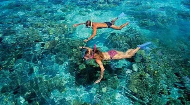 Puerto Morelos: Snorkeling at The National Reef Park - Practical comfort tips: avoid the common annoyances