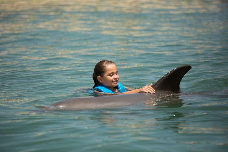Punta Cancun: Swim with dolphins Interax - Key things you’ll notice right away