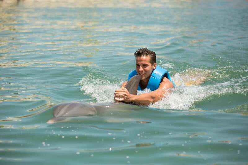 Punta Cancun: Swim with dolphins Interax - The in-water program: 14 dolphin activities and guided interaction