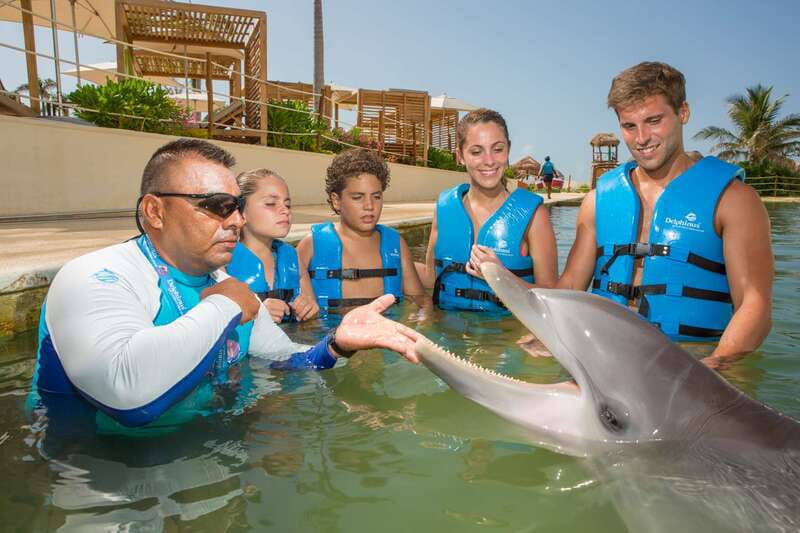 Punta Cancun: Swim with dolphins Interax - Price and value: $138 is the dolphin time, plus the structure