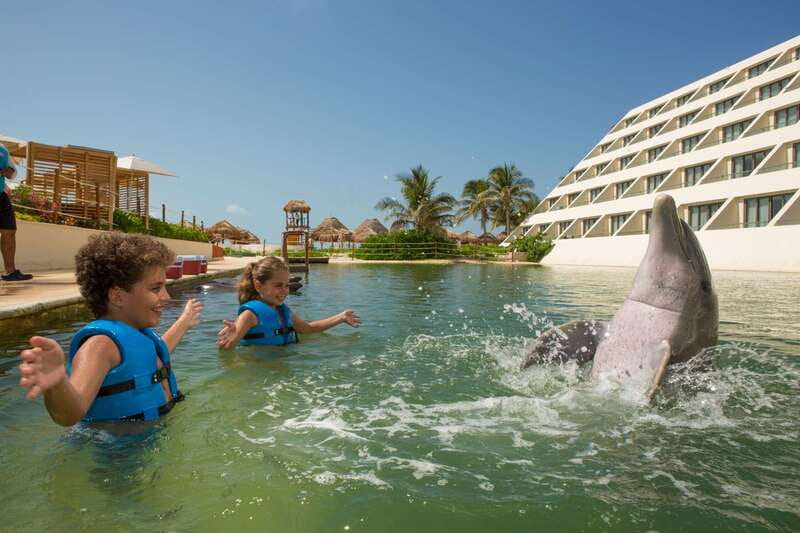 Punta Cancun: Swim with dolphins Interax - Who this is best for (and who might want a different option)