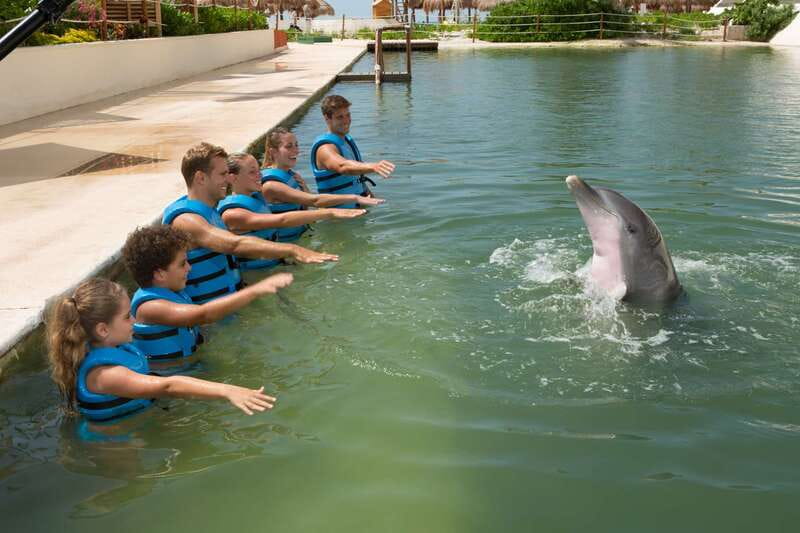 Punta Cancun: Swim with dolphins Interax - The session timing: 45 minutes total, with a focused 30 in the water