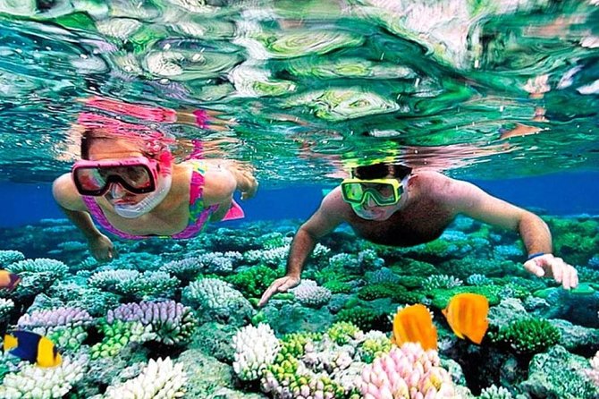 Reef Snorkel, underwater adventure in Puerto Morelos With Transportation & Lunch - Reef Snorkel in Puerto Morelos: what you’re really paying for