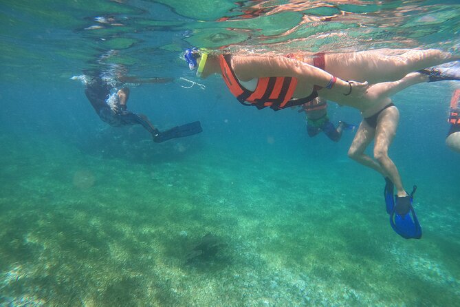 Reef Snorkeling with ATV, Zipline, Cenote that includes lunch and transportation - Reef snorkeling in Puerto Morelos: what you should expect