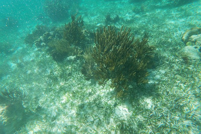 Reef Snorkeling with ATV, Zipline, Cenote that includes lunch and transportation - The ATV circuit: jungle obstacles and 45 minutes of control