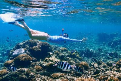 Reef Snorkeling with ATV, Zipline, Cenote that includes lunch and transportation - Lunch by the seashore: a real reset, not a stopover