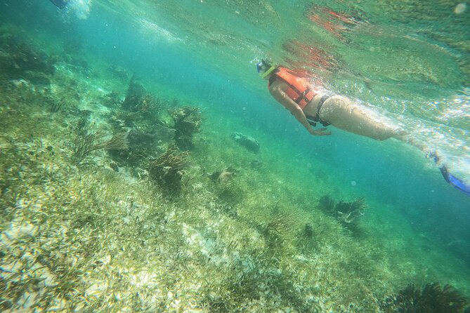 Reef Snorkeling with ATV, Zipline, Cenote that includes lunch and transportation - Zipline among the trees: 45 minutes that feel like free fall