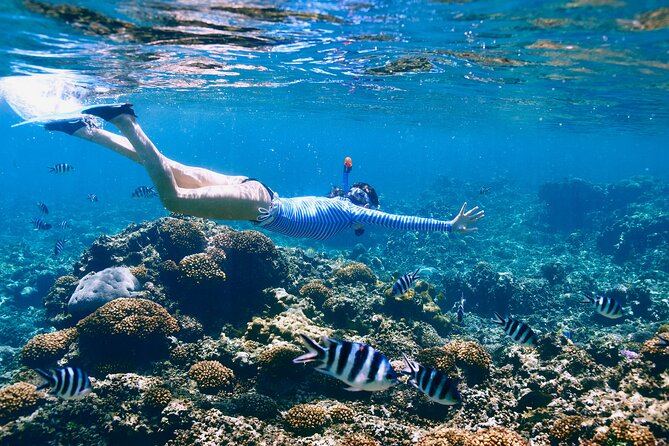 Reef Snorkeling with ATV, Zipline, Cenote that includes lunch and transportation - Lunch by the seashore: a real reset, not a stopover