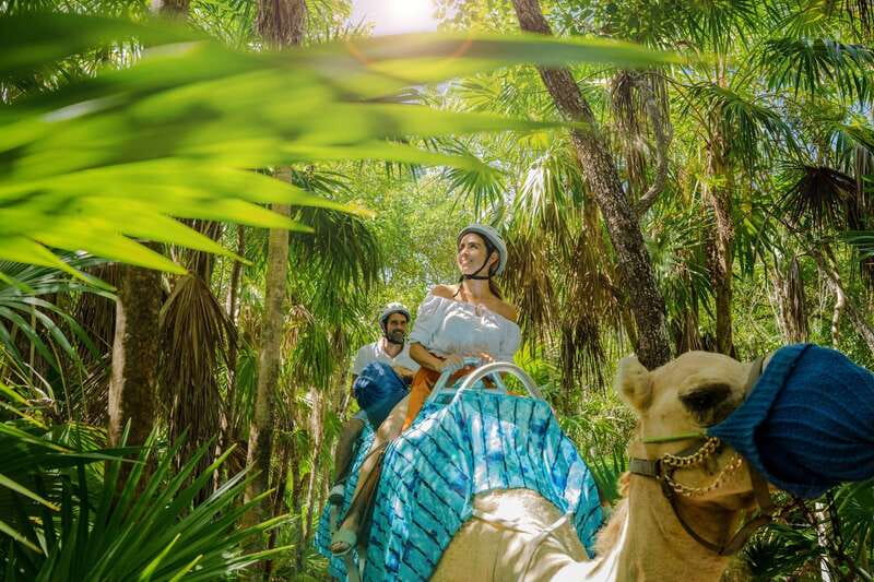Riviera Maya: Camel Caravan Expedition and Beach Club Access - Riding Maroma Beach: turquoise water and sand dunes under you