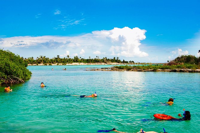 Riviera Maya Snorkeling Adventure: Lagoon, Cenotes Open & Cavern - Aktún Jungle Cave: Exploring a Cavern in the Trees