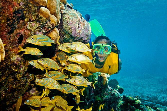 Riviera Maya Snorkeling Adventure: Lagoon, Cenotes Open & Cavern - Should You Book This Riviera Maya Snorkeling Adventure?