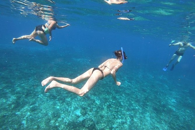 Snorkel Adventure at Cozumel! Transportation from Cancun & Playa Del Carmen - Stop-by-stop: Palancar, Colombia, and El Cielo starfish shallows