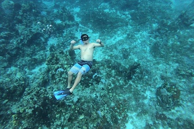 Snorkel Adventure at Cozumel! Transportation from Cancun & Playa Del Carmen - Price and value: what $222 gets you, and where costs pop up