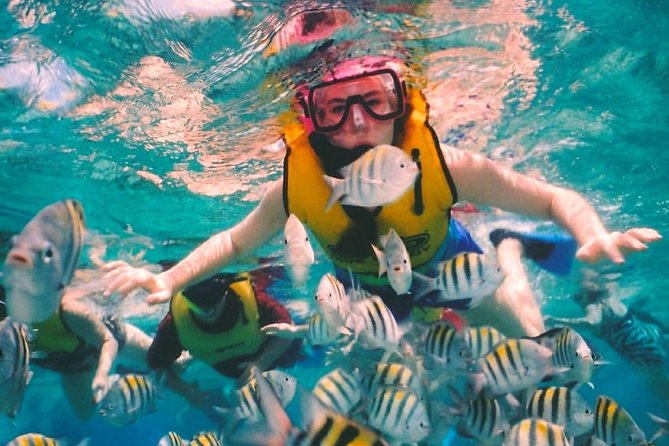 Snorkel and swim in Cozumel el Cielo Reef, Palancar and Colombia - Reef-Hopping in Cozumel: El Cielo, Palancar, and Colombia