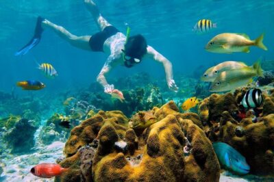 Snorkel and swim in Cozumel el Cielo Reef, Palancar and Colombia - Getting There From Cancun: Ferry-Day Logistics That Matter