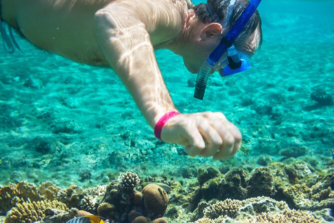 Snorkel and swim in Cozumel el Cielo Reef, Palancar and Colombia - Price and Value at $175: What You Get for Your Money