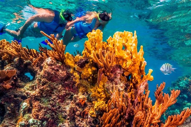 Snorkel and swim in Cozumel el Cielo Reef, Palancar and Colombia - Who This Tour Suits Best (and Who Should Skip It)