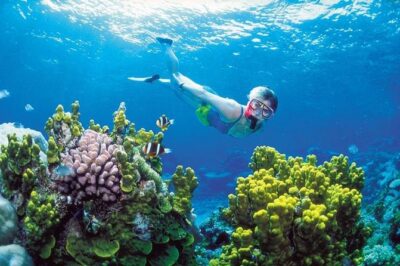 Snorkel, ATV, Zipline and Cenote Adventure from Cancun - Boca del Puma and the Zipline Block: Six Lines Over Cenote Terrain