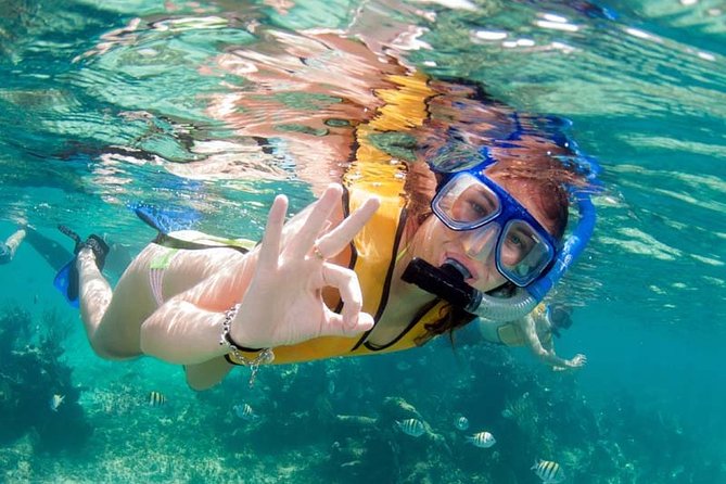 Snorkel in the turquoise Caribbean Sea in Puerto Morelos. Transport included - What you’re really booking in Puerto Morelos