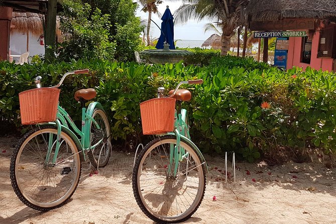 Snorkel in the turquoise Caribbean Sea in Puerto Morelos. Transport included - The beach club lunch stop: no lunch planning stress