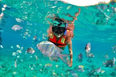 Snorkeling tour Express in Cancun with Certified Guide - National Reef Park snorkeling: why the two-spot plan is smart