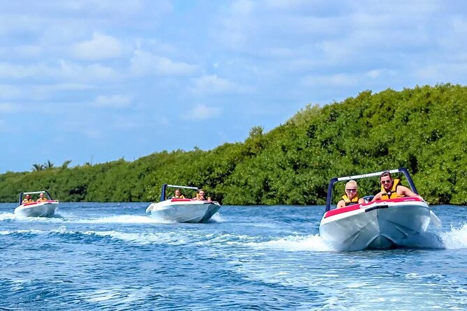 Speedboat Excursion: Thrilling Drive & Snorkel in Cancun Lagoon! - Price and Value: The $59 Rate vs the 600 MXN Add-On