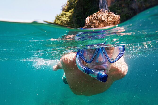 Speedboat Excursion: Thrilling Drive & Snorkel in Cancun Lagoon! - Who Should Book This Speedboat and Snorkel Tour