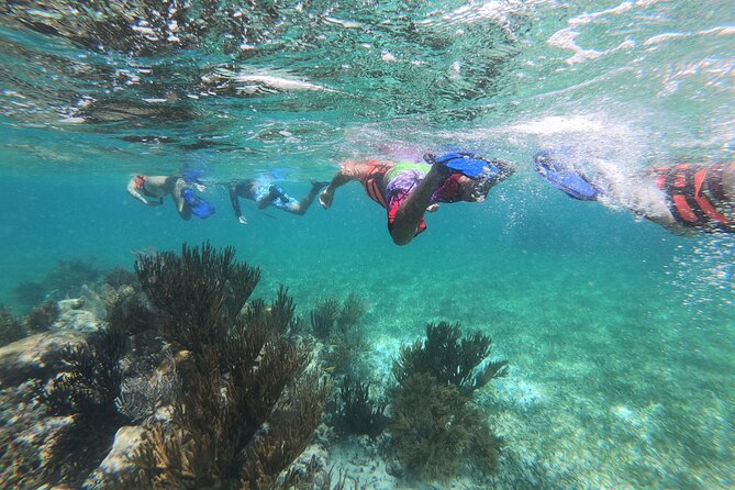 Super Combo ATV in Cancun with Zipline, Snorkel, Cenote, transfer - The Cancun-to-Puerto Morelos day plan (and why the timing works)