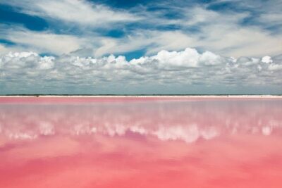 Tour to Las Coloradas Pink Waters and Boat Ride in Rio Lagartos with Lunch. - Rio Lagartos by boat: canals, birds, and that open-air Mayan spa break